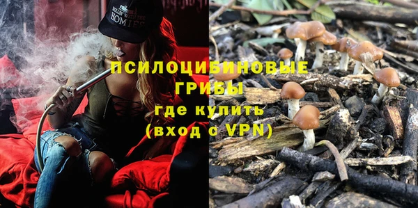 скорость Алзамай