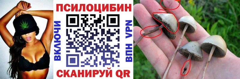 Галлюциногенные грибы Magic Shrooms  Рошаль 